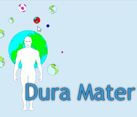 Dura Mater