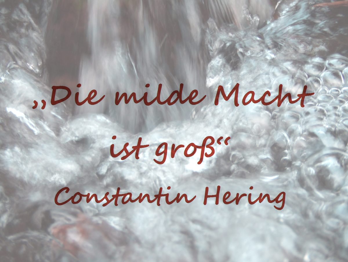 Die milde Macht ist groß