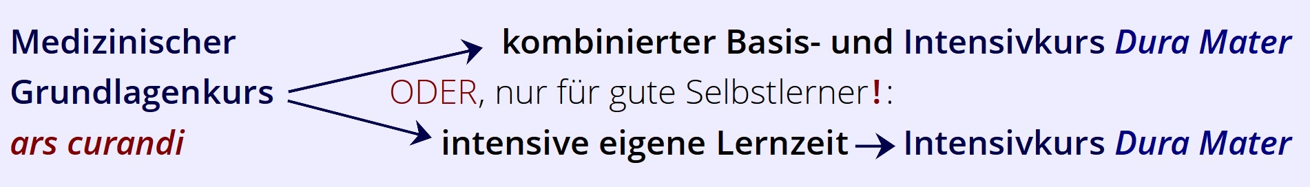 Heilpraktiker Prüfungsvorbereitung, Abfolge